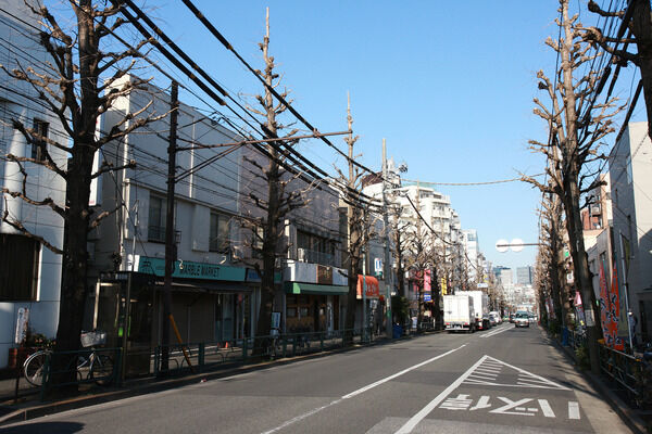 「方南中央通り商店街」に沿う方南中央通りの並木道。