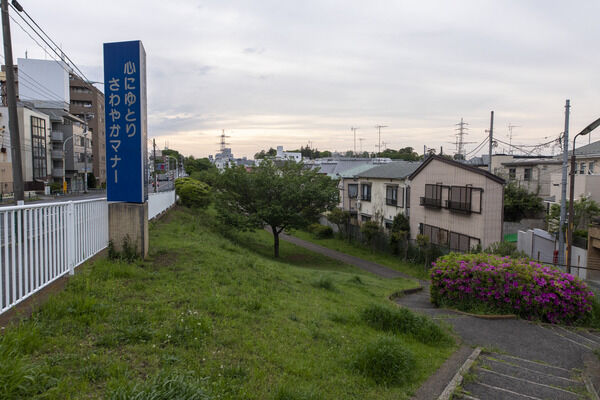 近隣公園　現地より約50m