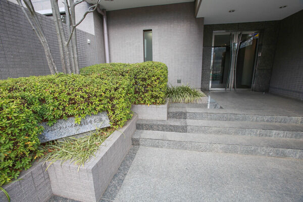 さわやかな印象を残す、明るく伸びやかなアプローチ。		