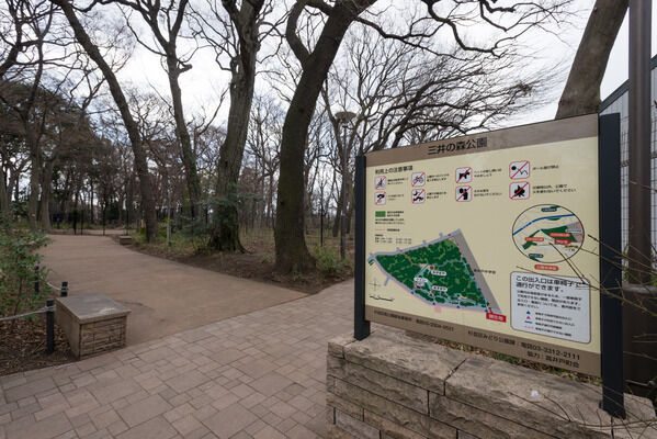 自然のままの姿を残した「三井の森公園」は約700m（徒歩9分）。		