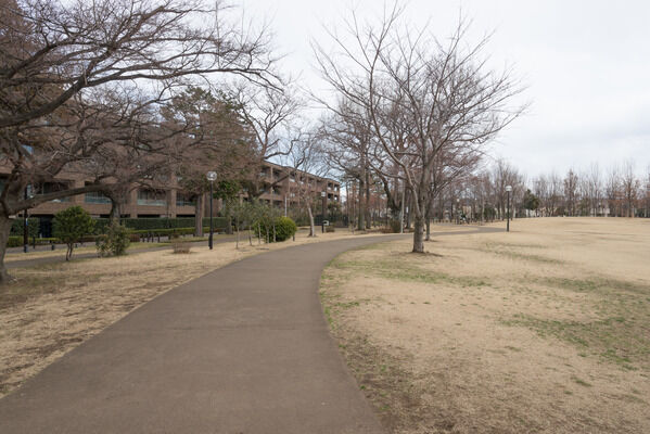 杉並区立としては最大規模の公園「柏の宮公園」まで約1,900m（徒歩24分）。