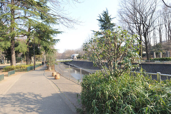 川沿いに展開する緑の憩いゾーン「善福寺川緑地」まで約280ｍ（徒歩4分）。		