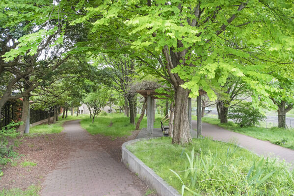 善福寺川公園　現地より約150m