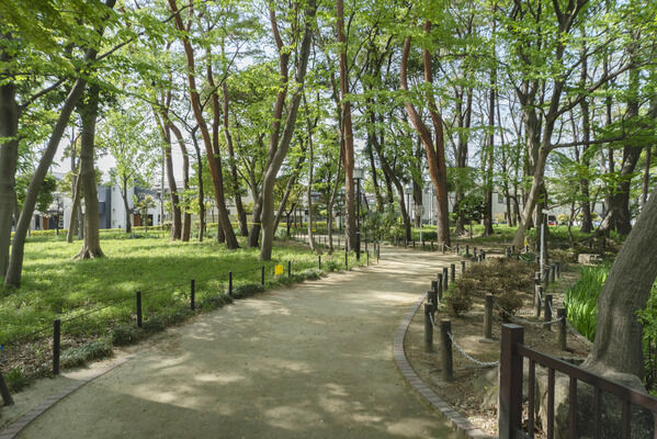 塚山公園　現地より約180m