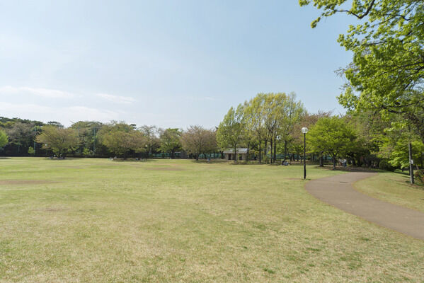柏の宮公園 現地より約100m 柏の宮公園 現地より約100m