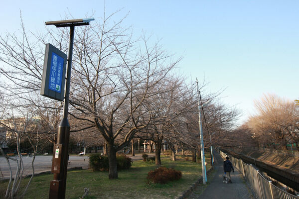 野球場もある「善福寺川緑地」は、約1,000m(徒歩13分）。