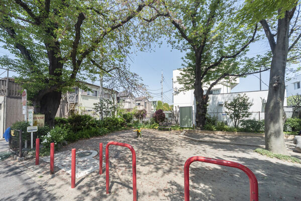 すぎなみ公園 育て組　現地より約100m