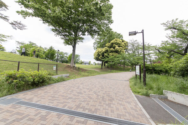 和田堀公園　現地より約100m