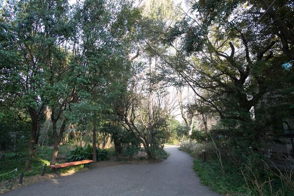 都会のオアシス「目白の森」まで約660m（徒歩9分）。