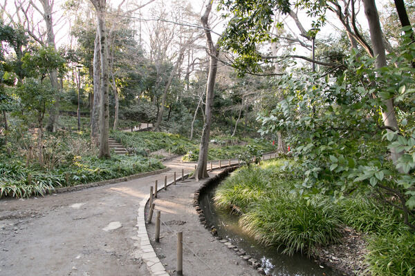 自然豊かな「おとめ山公園」まで約800ｍ（徒歩10分）。		