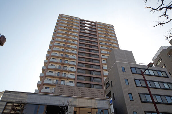 駅から歩いてきたときに見える北面。すっきりとしたフォルムが特長。		