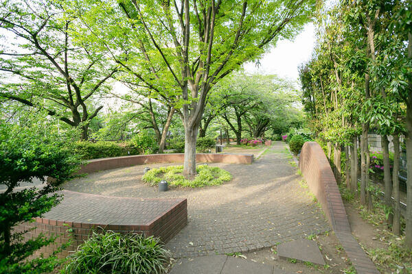 加賀一丁目みどりばし緑地　現地より約50m