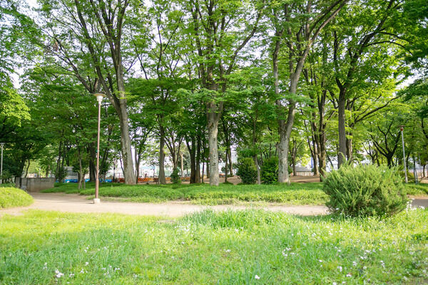 東板橋公園　現地より約50m