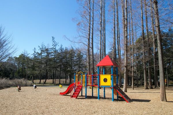 四季折々の姿が楽しめる「赤塚公園」まで約20ｍ（徒歩1分）。		