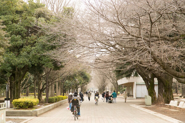 豊かな自然とスポーツが楽しめる「光が丘公園」まで約2,600ｍ（徒歩32分）。		
