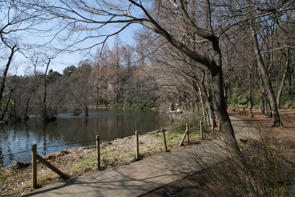 「石神井公園」まで約130ｍ（徒歩2分）。		