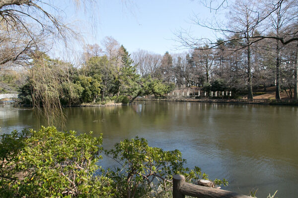 約22万㎡という広大な敷地を持つ「石神井公園」まで約860ｍ（徒歩11分）。		