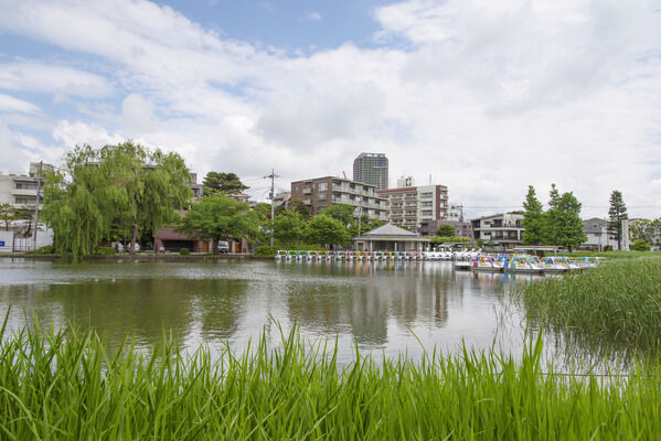都立石神井公園　現地より約50ｍ