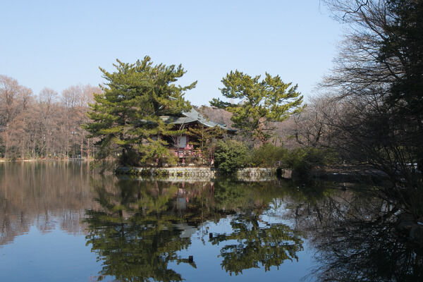 自然豊かな「石神井公園」は、約1,440m(徒歩18分)。 自然豊かな「石神井公園」は、約1,440m(徒歩18分)。