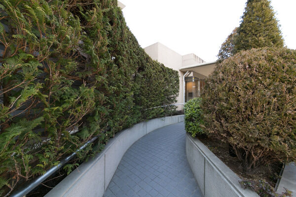 エントランスまでのスロープは両脇に緑を植え込み暖かみのある道になりました。