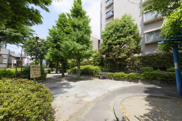 練馬区立こもれび児童遊園　現地より約80m