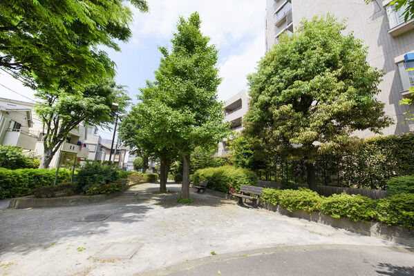 練馬区立こもれび児童遊園　現地より約80m