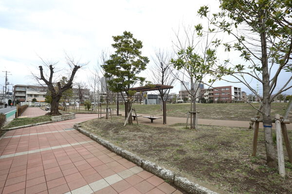 緑豊かな「中村かしわ公園」まで約550m（徒歩7分）。		