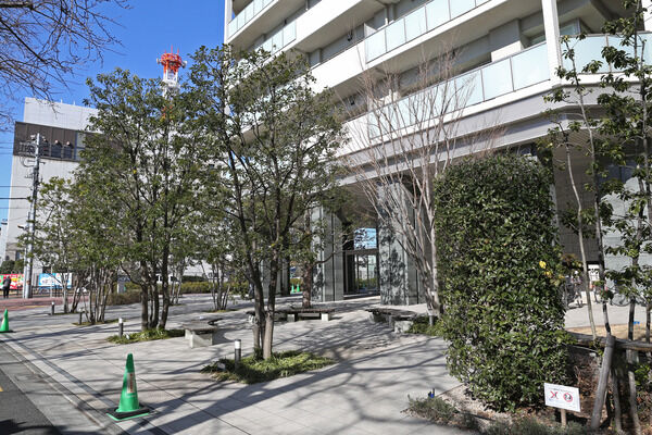 【プラウドタワー練馬】緑化率約20％の豊かな景観。四季折々の草花がフォレストガーデンを彩ります。		