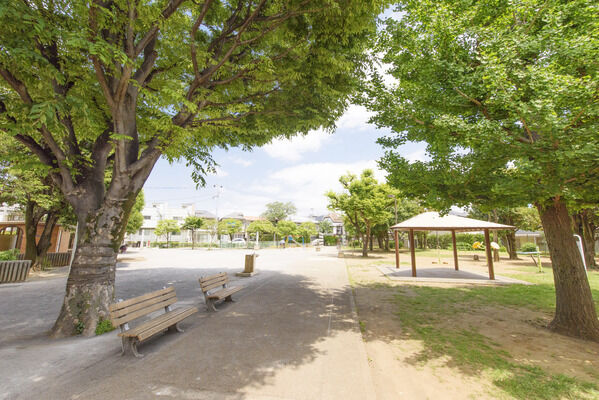 はらっぱ公園　現地より約15m