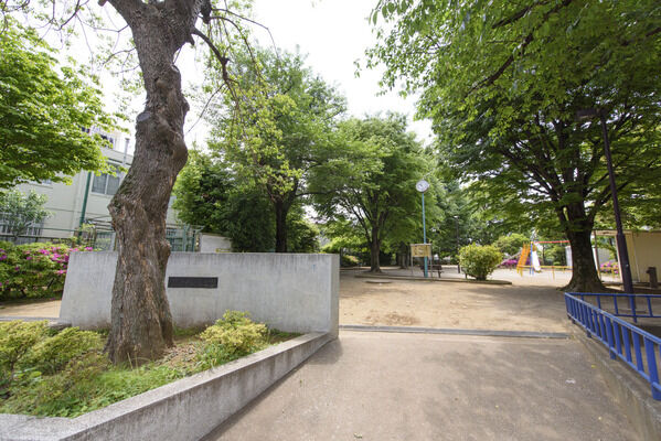 練馬区立はやいち公園　現地より約15m