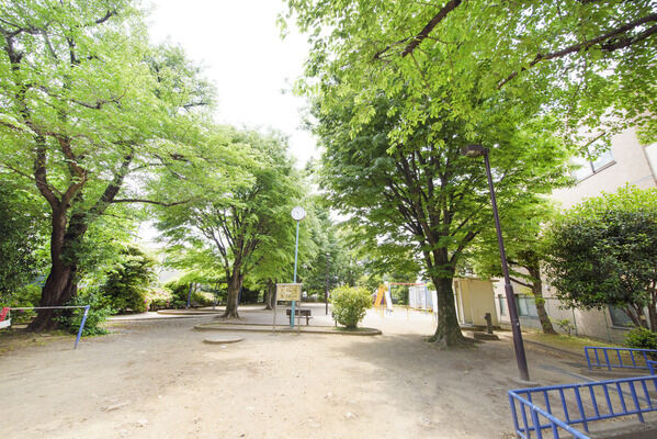 練馬区立はやいち公園　現地より約15m