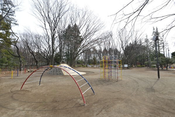 城北地区最大の都立公園「城北中央公園」まで約700ｍ（徒歩9分）。