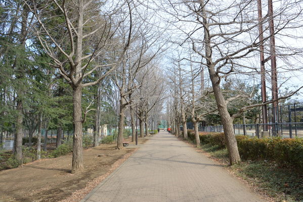 城北地区最大の都立公園「城北中央公園」まで約800ｍ（徒歩9分）。