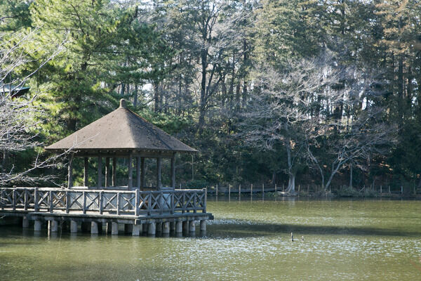 「都立石神井公園三宝寺池」は、約1,780m（徒歩23分）。