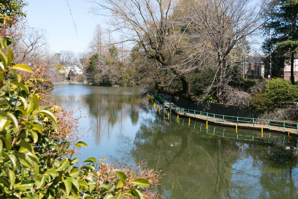 ボートや釣りも楽しめる「武蔵関公園」までは約350ｍ（徒歩5分）。