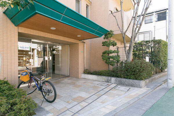 両脇に植えられた植栽が訪れる人を和ませます。