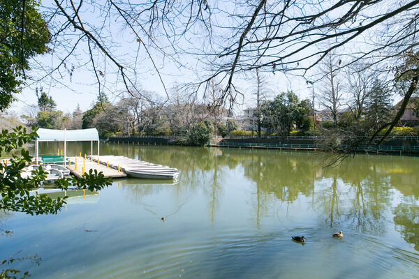 水と緑豊かな「武蔵関公園」まで約1,020ｍ（徒歩13分）。