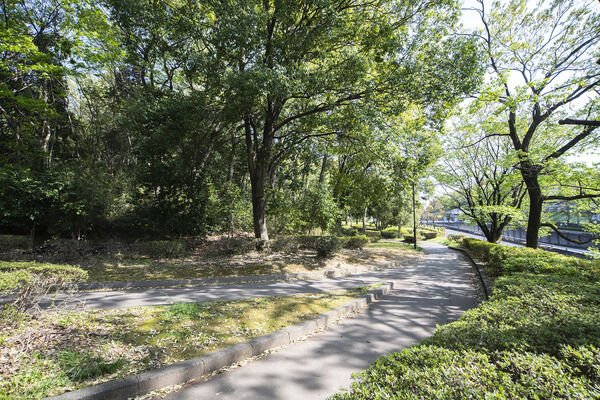 大塚東公園　現地より約30m