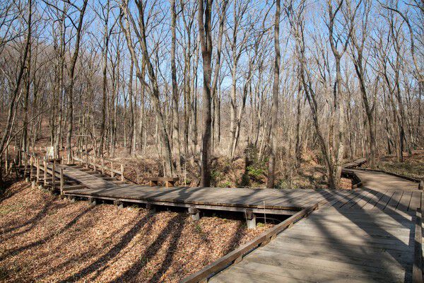 多くの昆虫類や野鳥が観察できる「小宮公園」は、約850m（徒歩11分）。