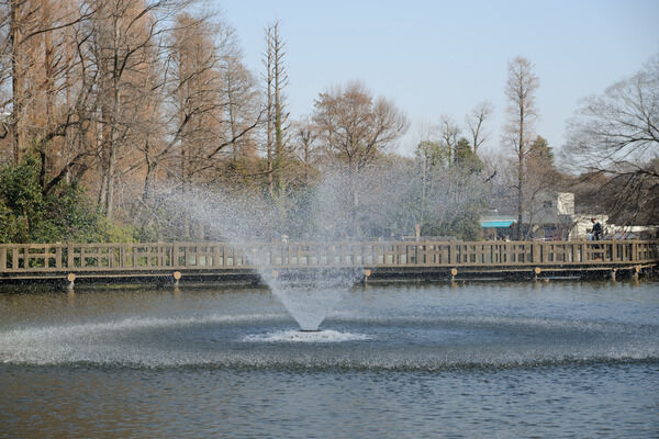 武蔵野を代表する憩いのスポット「井の頭恩賜公園」まで約1,690ｍ（徒歩20分）。