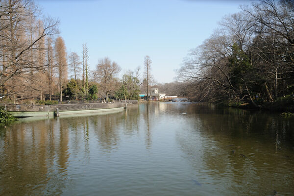 「井の頭恩賜公園」まで約4,800ｍ。