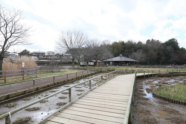 「都立八国山緑地」に隣接する「北山公園」まで約1,000m（徒歩13分）。