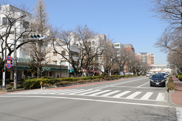 新東京百景にも選定されている「大学通り」は、約240m（徒歩3分）。		