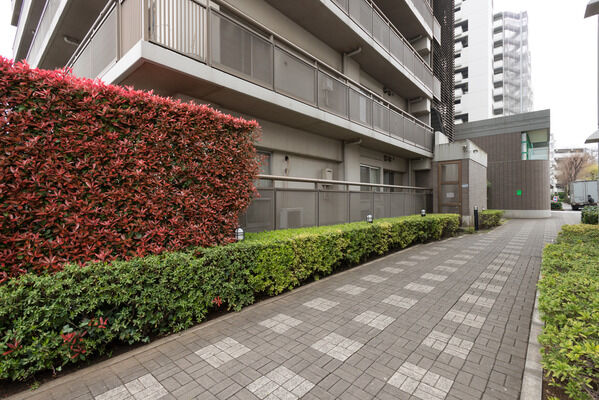 美しく整備された歩道と植栽が、毎日のお出かけを軽やかに演出する。