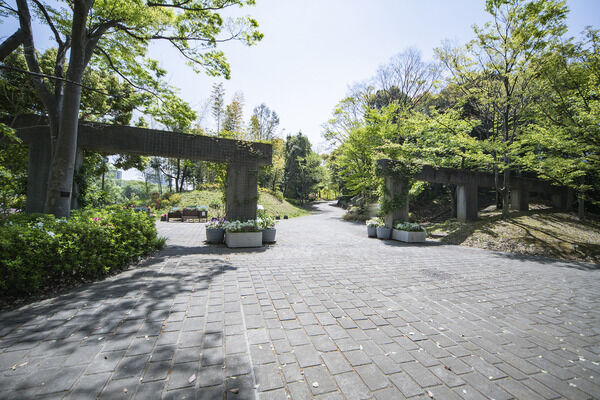多摩中央公園　現地より約150m