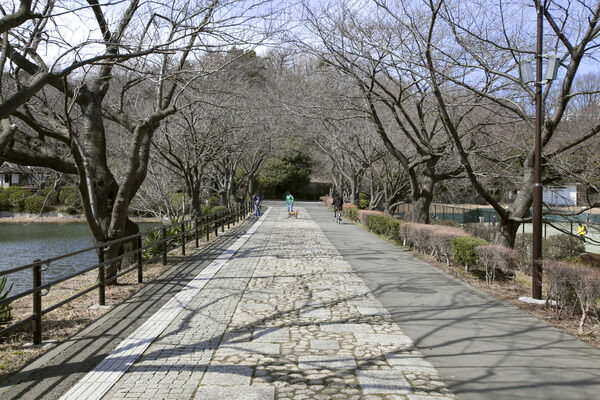 「三ツ池公園」まで約3,800m。