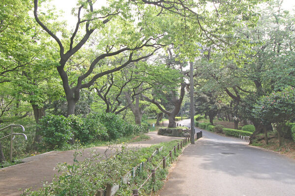 神の木公園　現地より約150m