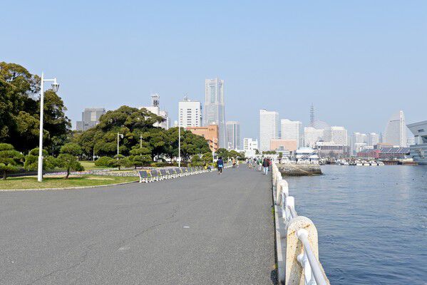 ベイブリッジなど港の眺めがロマンチックな「山下公園」は約900m（徒歩12分）。		