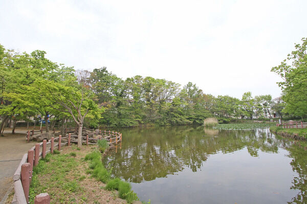 菊名池公園　現地より約30m