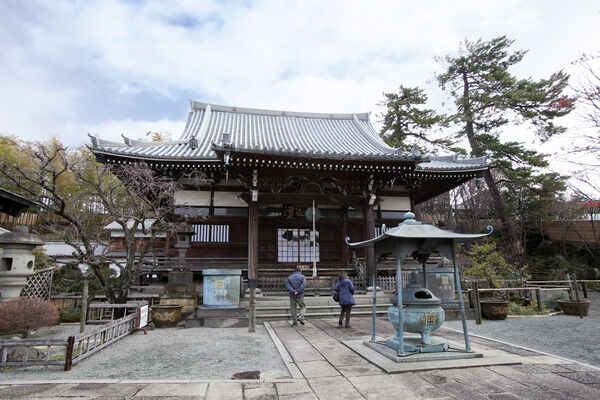 「妙蓮寺」は、約600m（徒歩8分）です。